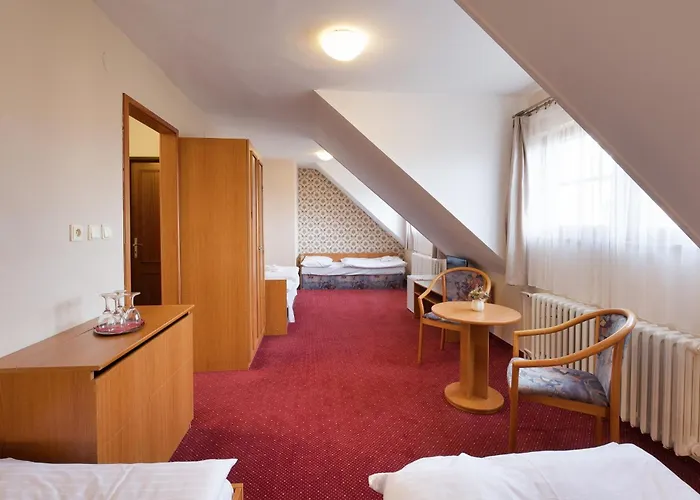 Hotel U Cerneho Orla